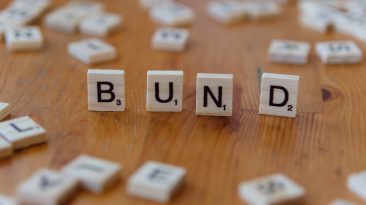 Photo Domain Buying Guide
