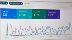 Photo Domain Name Trends