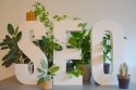 Photo Domain SEO