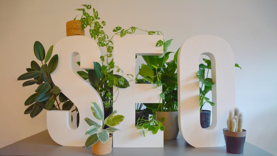 Photo Domain SEO