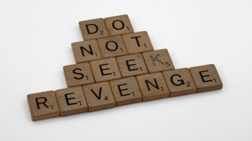 Photo domain registration mistakes prevention