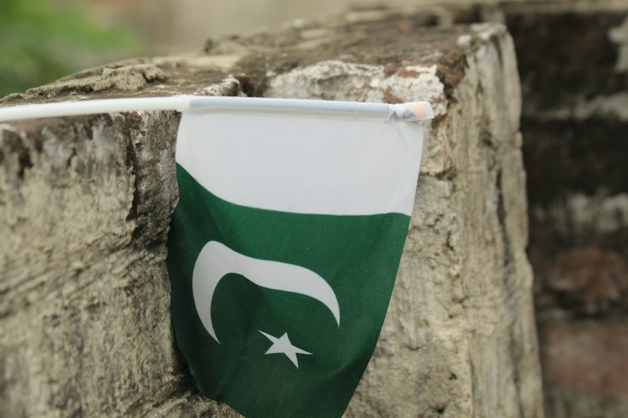 Domain Registration Pakistan Steps