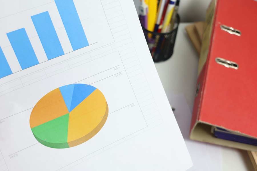 Photo domain ownership audit business yearly