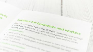 Photo hosting renewal costs guide