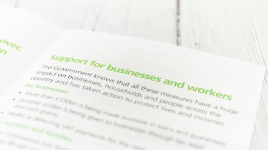 Photo hosting renewal costs guide