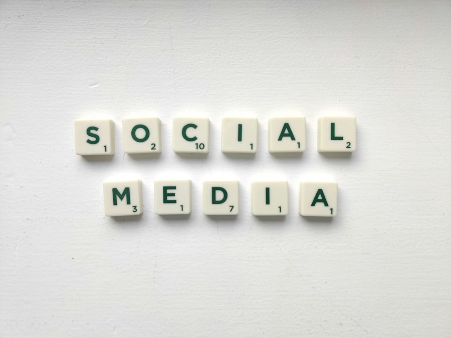 business domain security social media