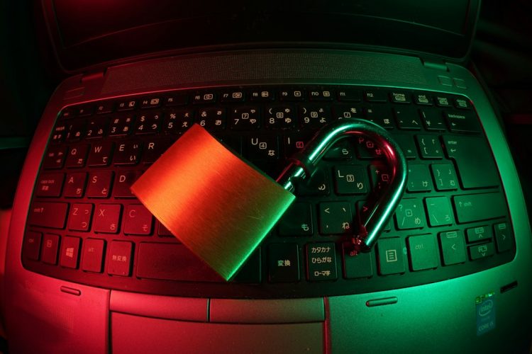 Photo daily website backup security